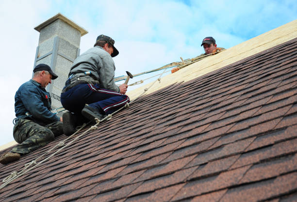 Best Roof Gutter Cleaning  in New Canaan, CT
